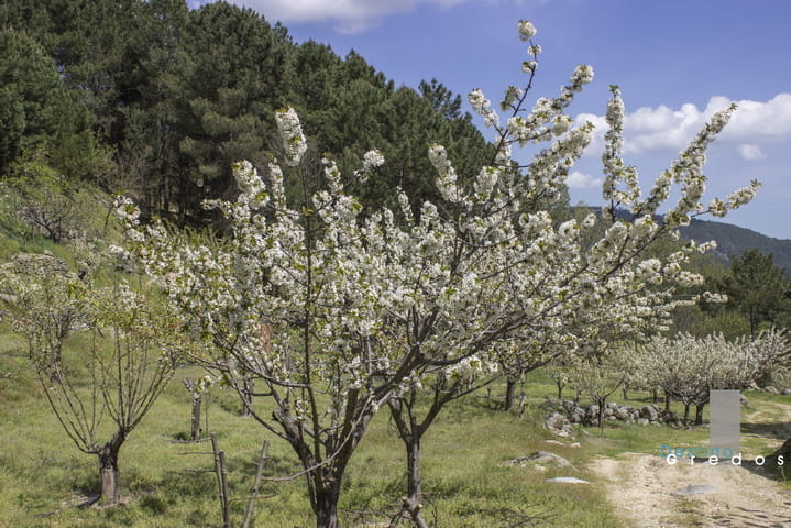 Imagen de apoyo para ayuntamientos y GAL