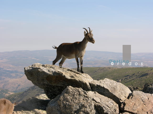 Imagen de apoyo para explicar qué es Destino Gredos